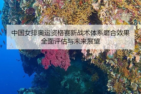 中国女排奥运资格赛新战术体系磨合效果全面评估与未来展望